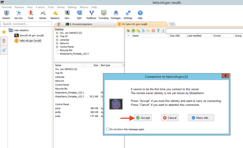 How do I use the X11 server in MobaXterm?